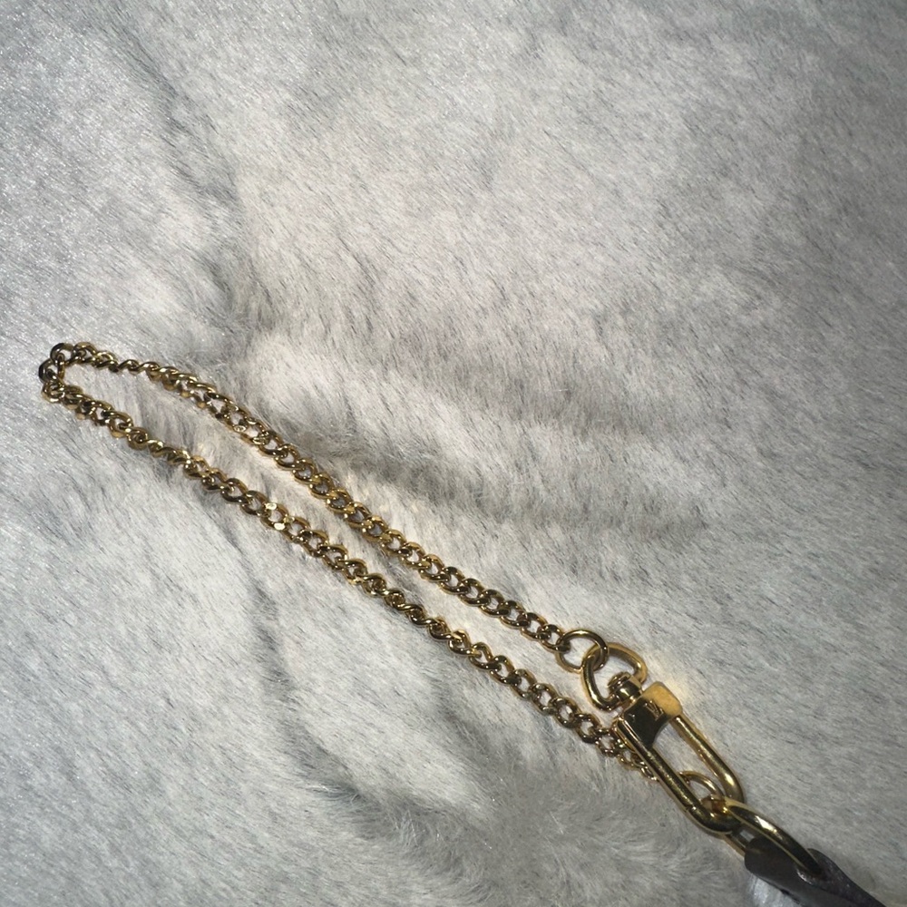 Louis Vuitton Mini Pochette Accessoires - Picture 7 of 7